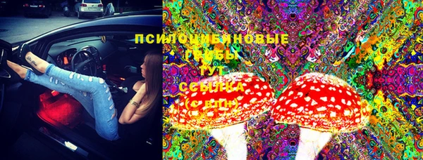apvp Балахна